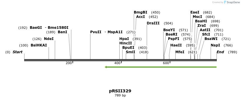 54168_map