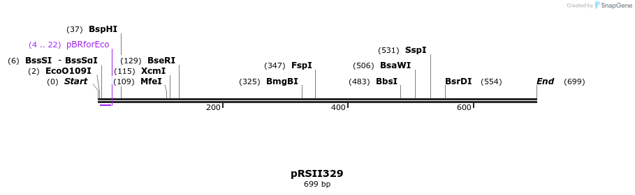 54169_map