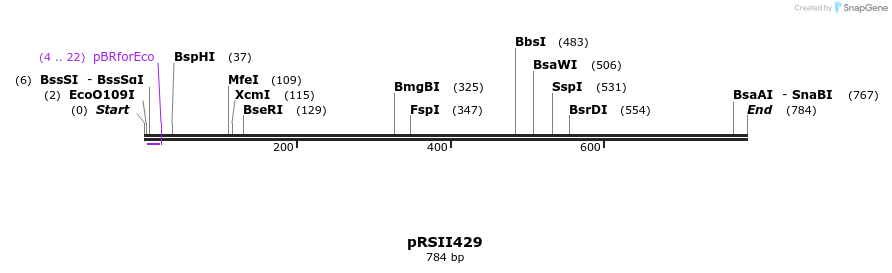 54170_map