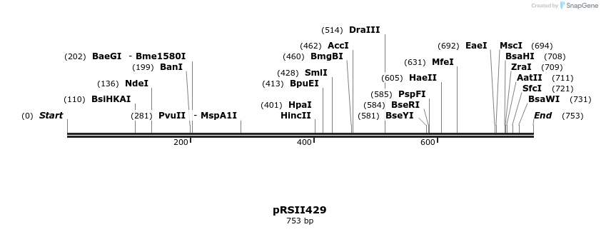 54171_map