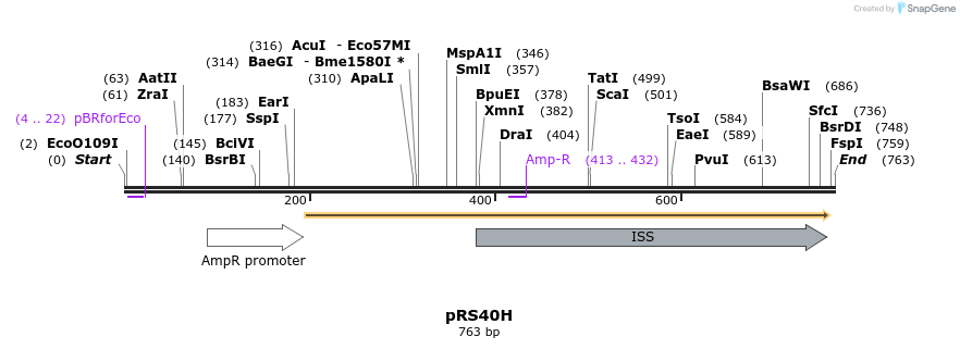 54174_map