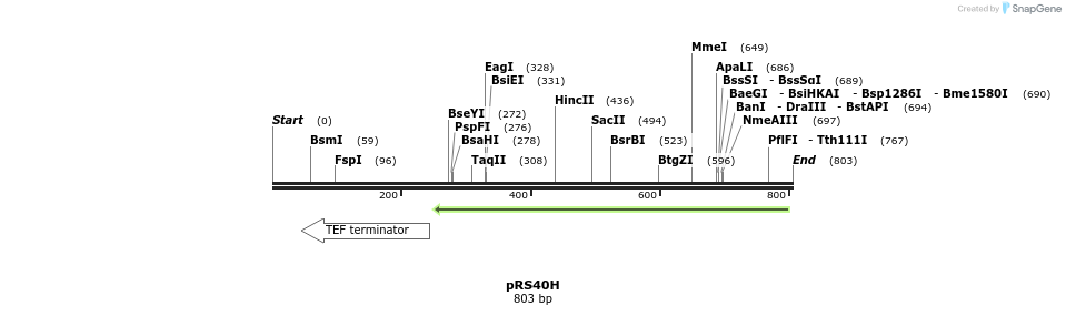 54177_map