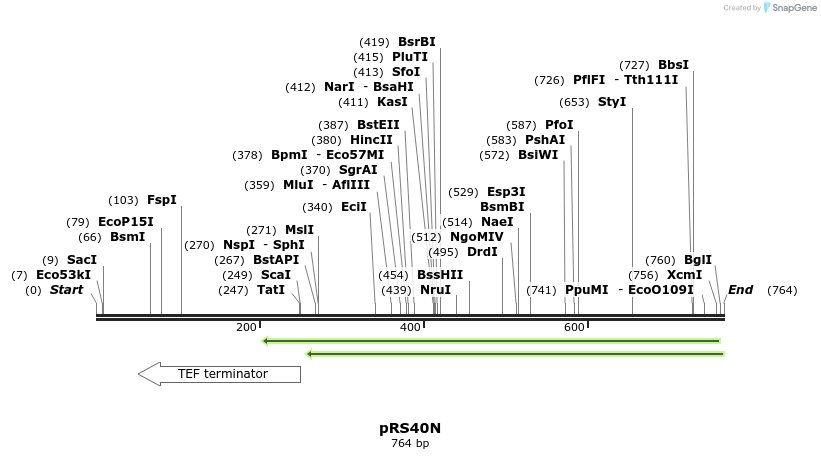 54179_map
