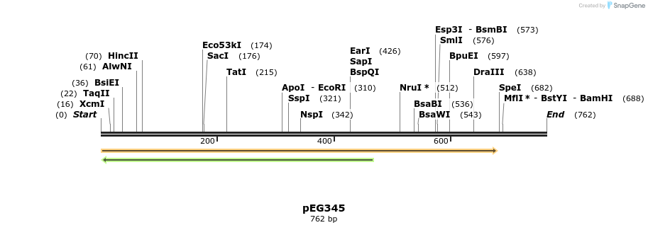 54191_map