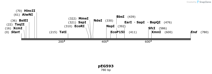 54193_map