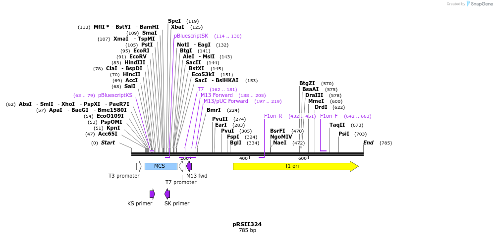 54196_map