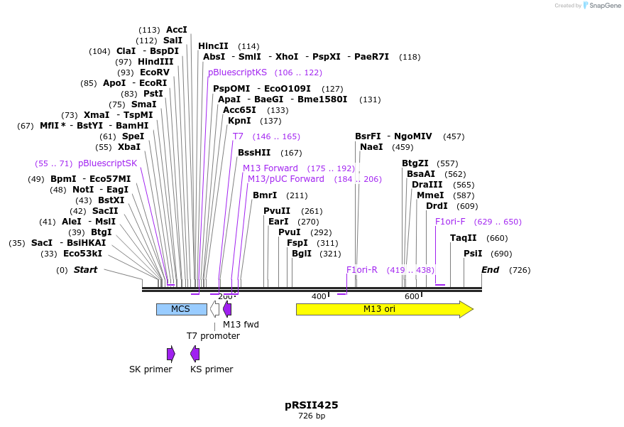 54197_map