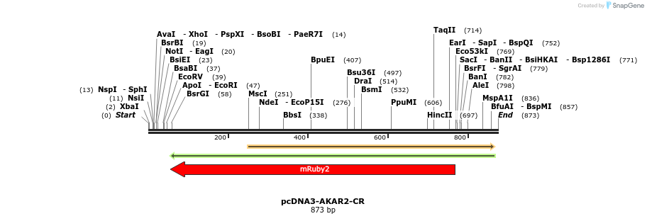 54198_map
