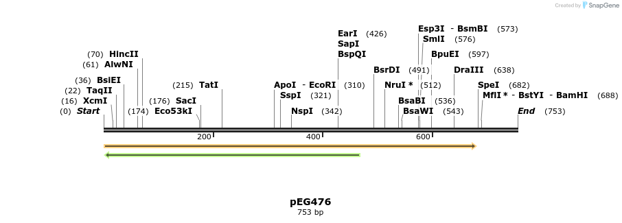 54201_map