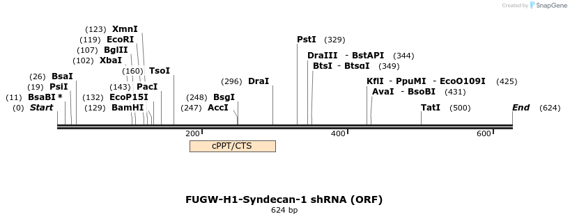 54203_map