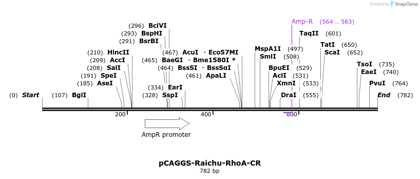 54209_map