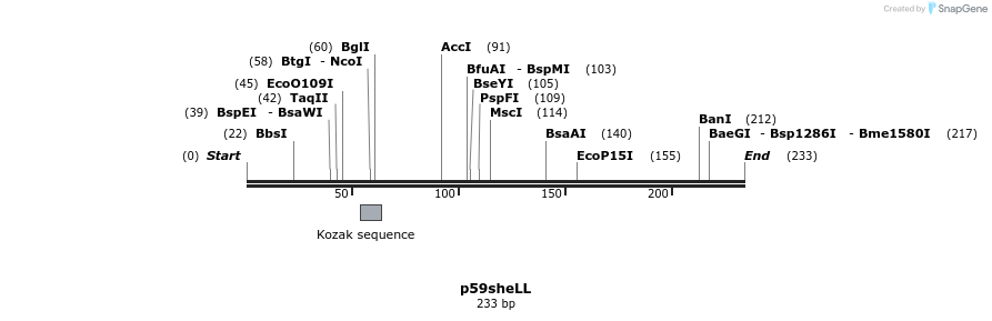54219_map
