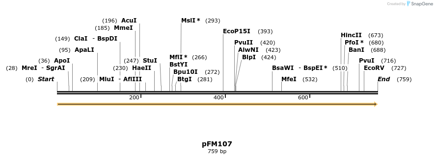 54222_map