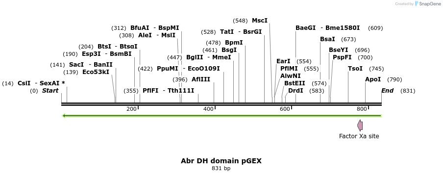 54224_map