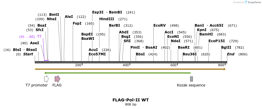 54247_map