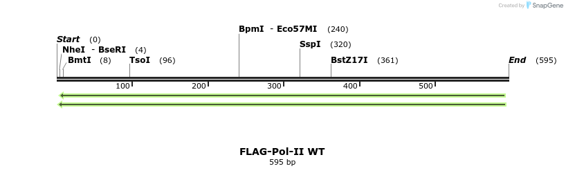 54250_map