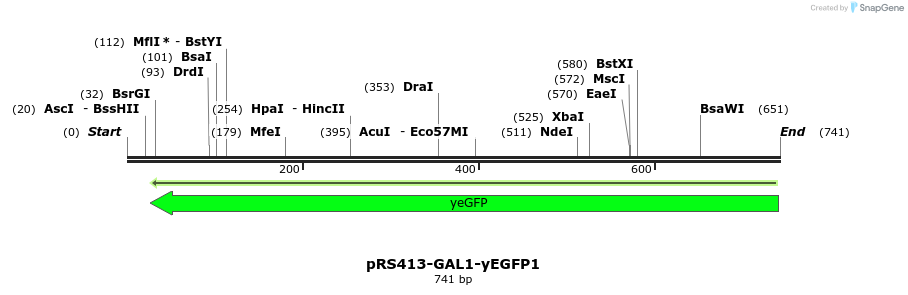 54258_map