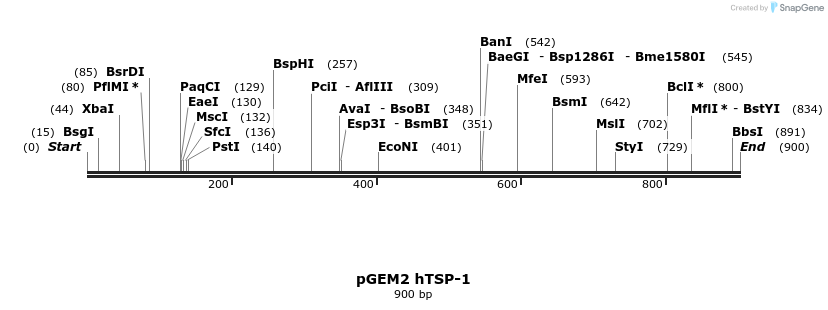 54266_map