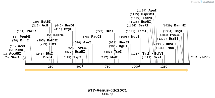 54268_map