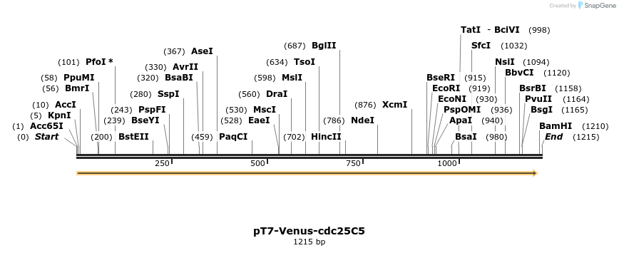 54274_map