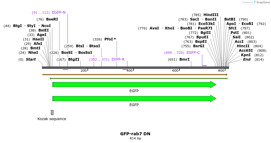 54275_map