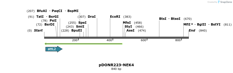 54276_map