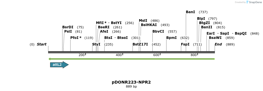 54277_map