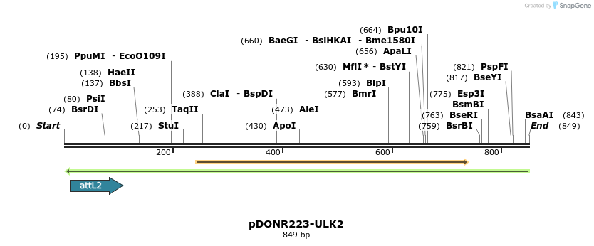 54279_map