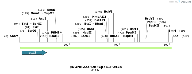 54281_map