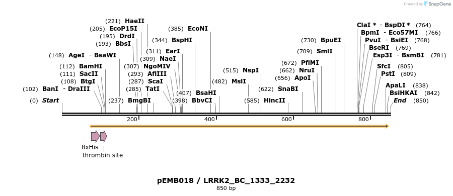 54283_map