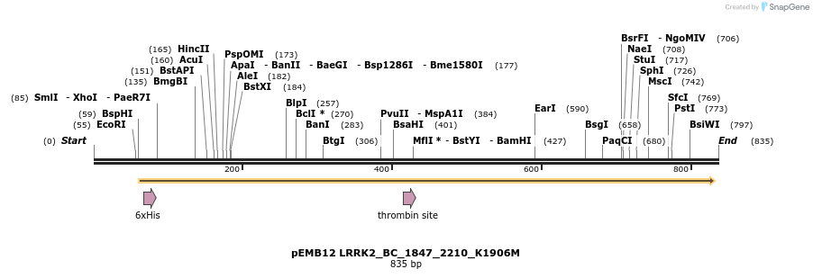 54295_map