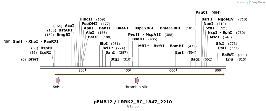54297_map