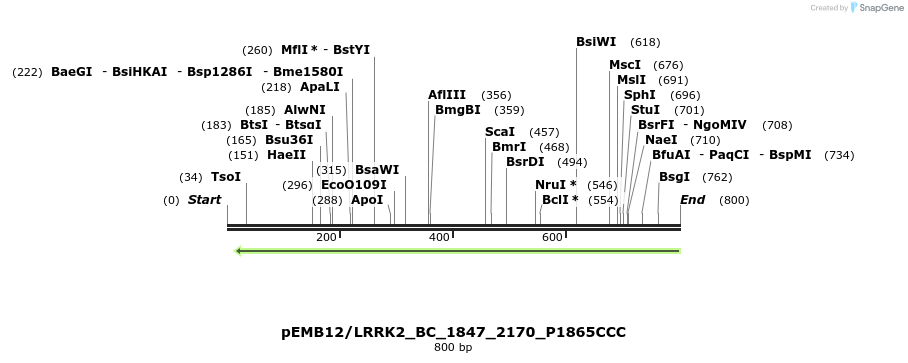54298_map