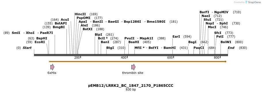 54299_map