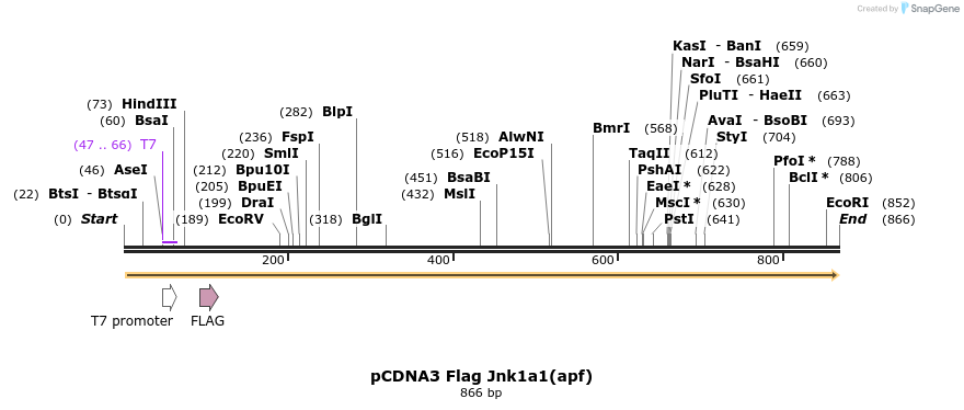 54300_map