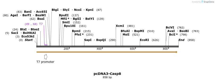 54303_map