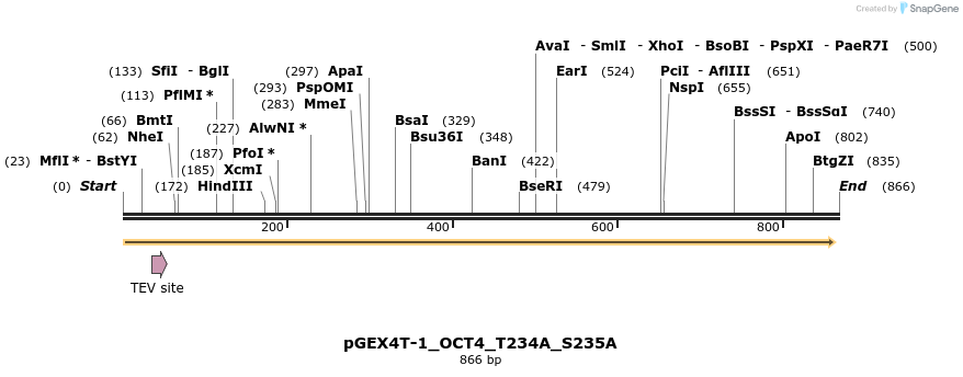 54314_map
