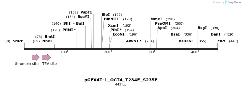 54315_map
