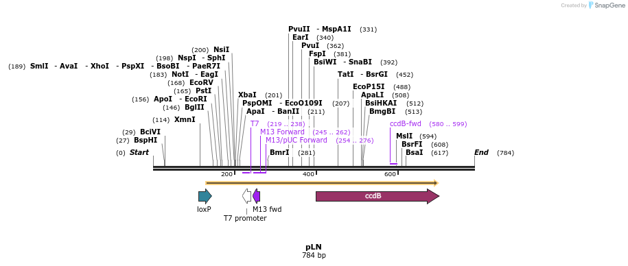 54316_map