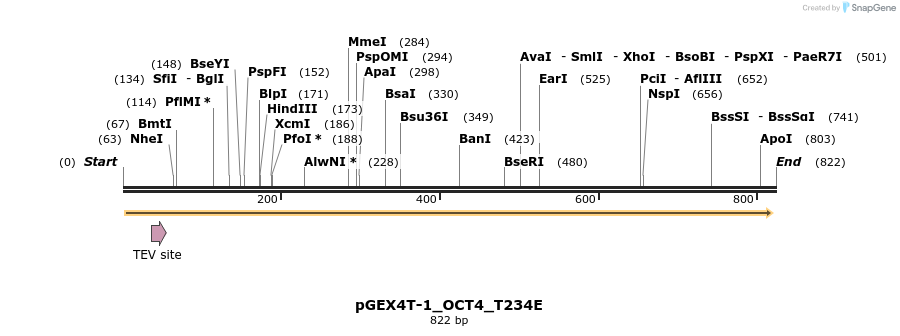 54331_map