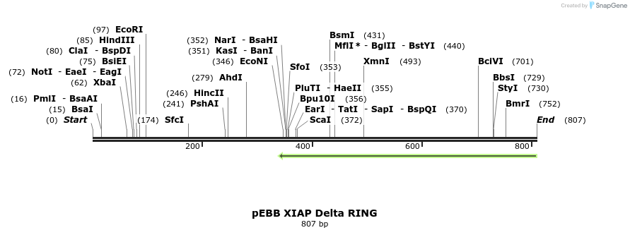 54332_map