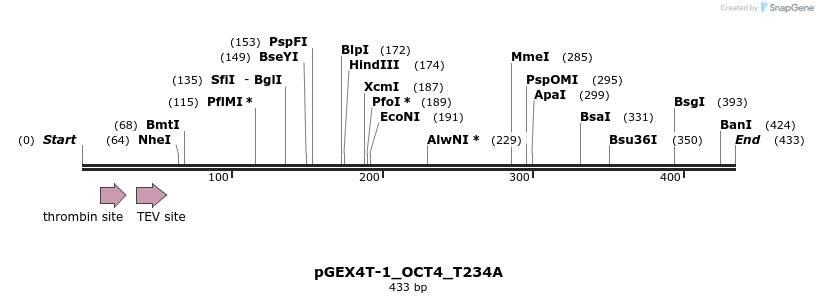 54333_map