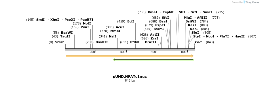 54335_map