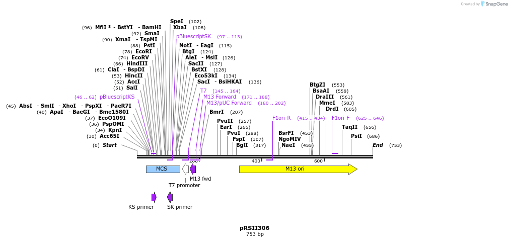54337_map