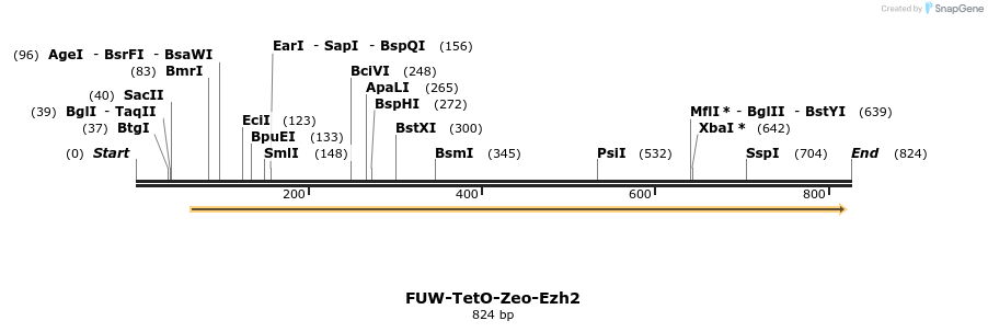 54341_map