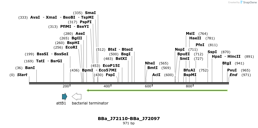 54342_map