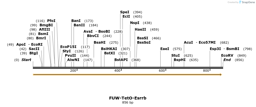 54344_map