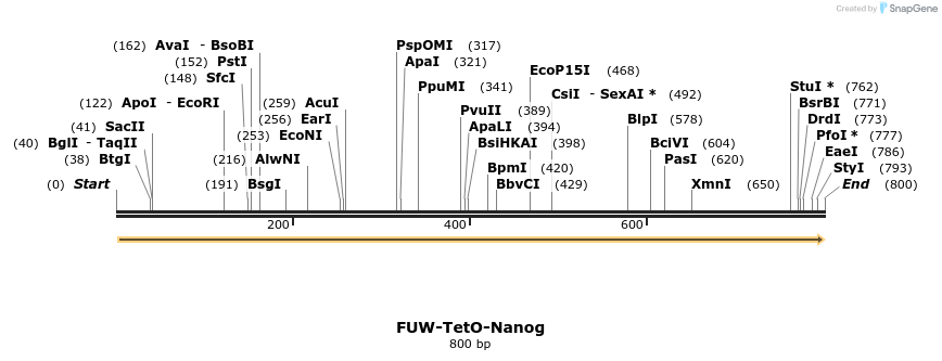 54346_map