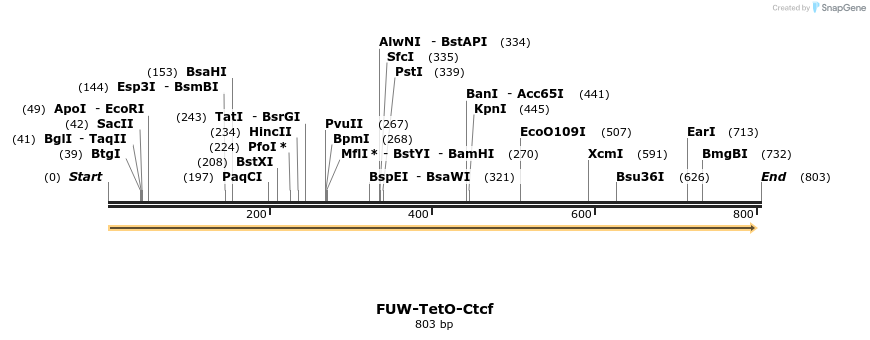 54347_map