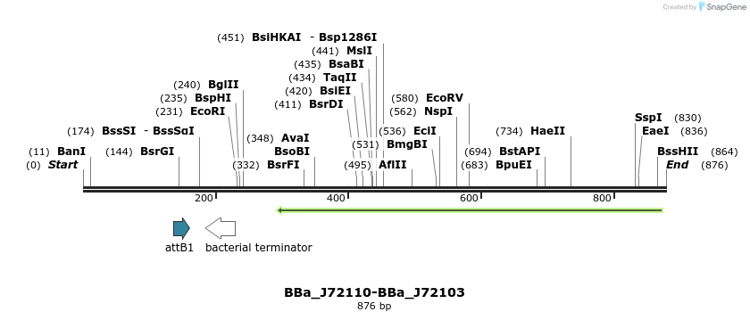 54348_map